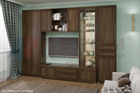 Гостиная-Стенка Карина-21 (В-2224 х Ш-3060 х Г-448 мм)
