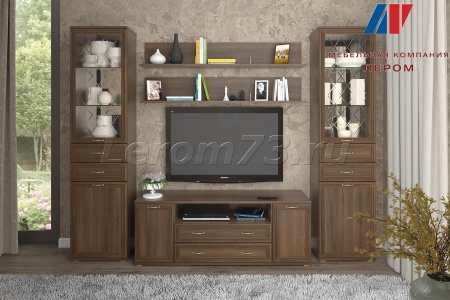 Гостиная-Стенка Карина-13 (В-2224 х Ш-2880 х Г-448)